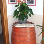 La sala | Dei Bersaglieri
